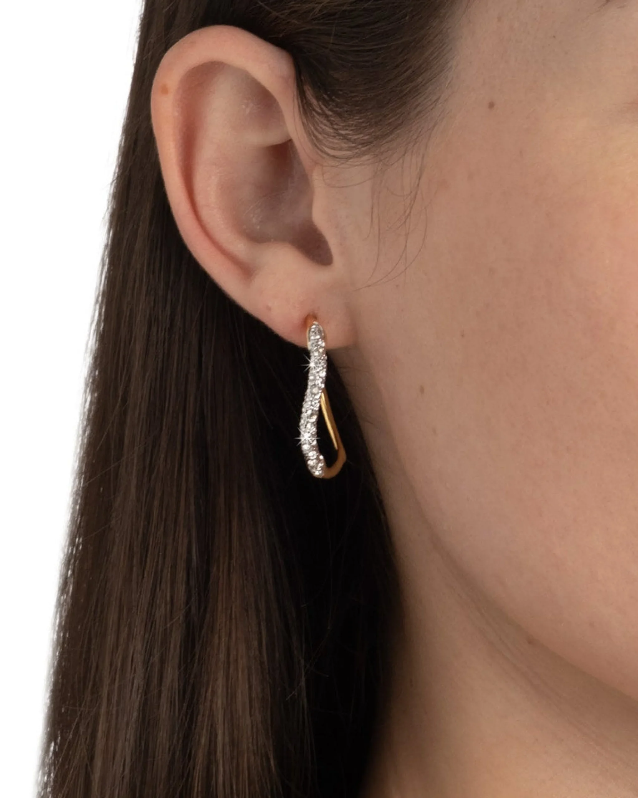 Gold Two Tone Pave Hoop Earring