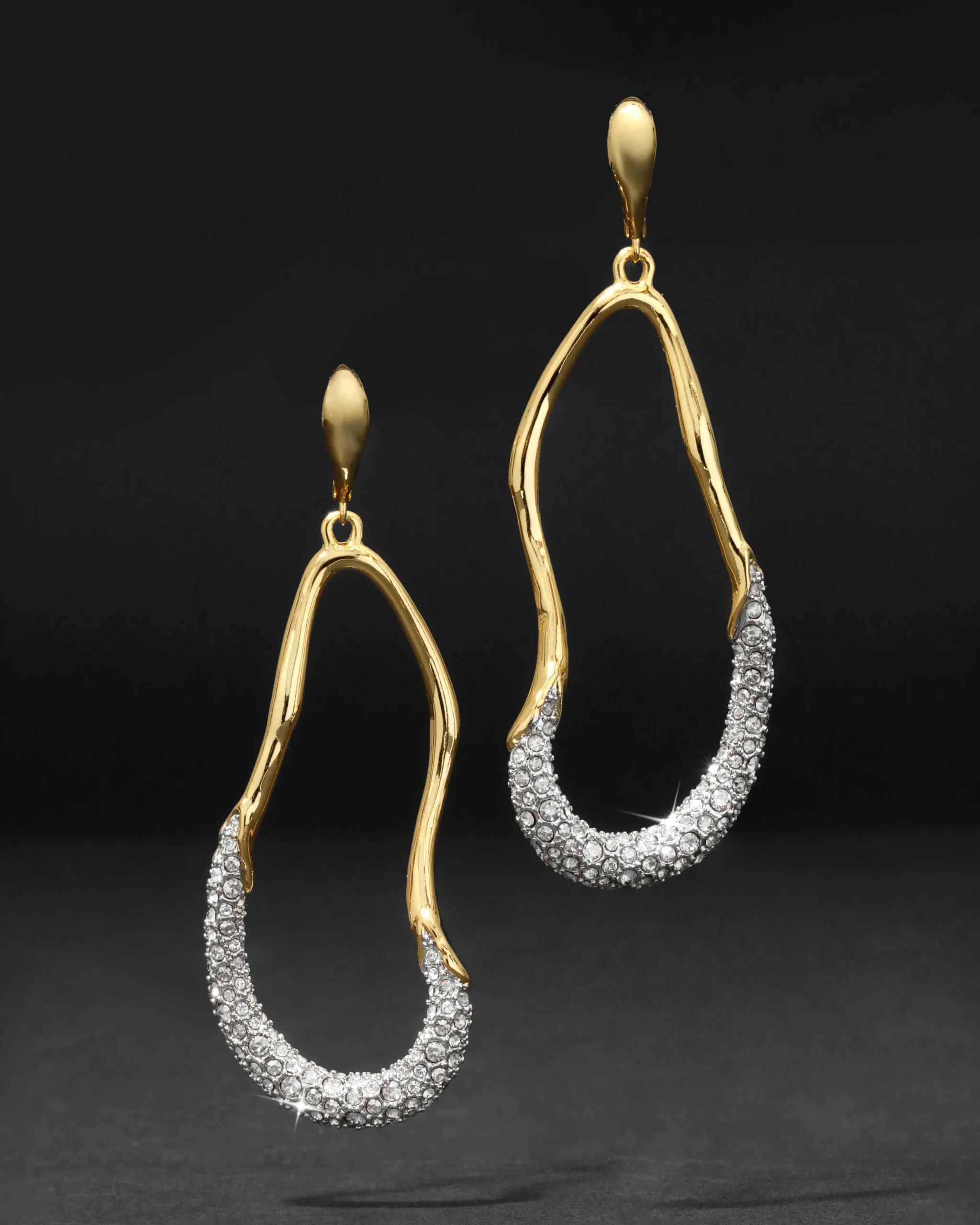 Solanales Crystal Curve Leverback Drop Earring
