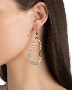 Solanales Crystal Curve Leverback Drop Earring