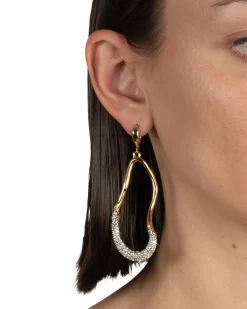 Solanales Crystal Curve Leverback Drop Earring