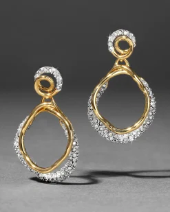 Solanales Gold Crystal Orbit Drop Post Earring